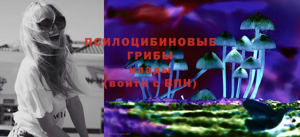 mix Верхний Тагил
